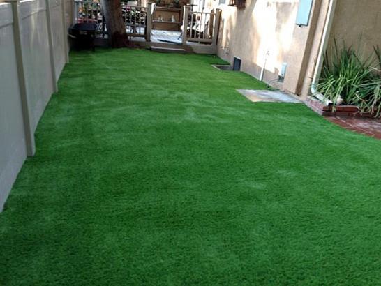 Artificial Grass Photos: Synthetic Turf Congers New York  Landscape  Back Yard