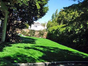 Artificial Grass Photos: Synthetic Turf East Rockaway New York Lawn  Back Yard
