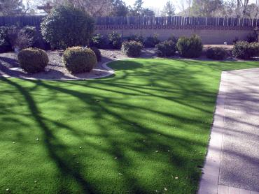 Artificial Grass Photos: Synthetic Turf Haverstraw New York  Landscape  Front Yard