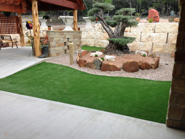 Artificial Grass Photos: Synthetic Turf Lake Grove New York  Landscape