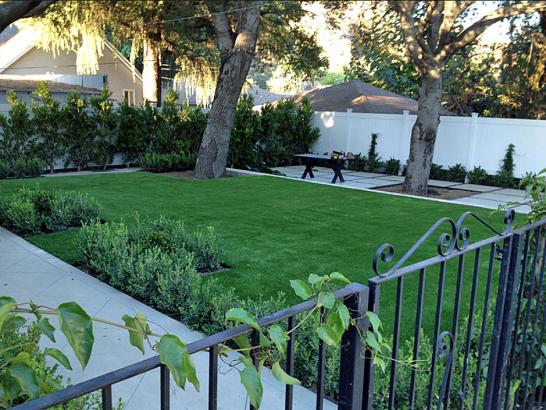 Artificial Grass Photos: Synthetic Turf North Babylon New York Lawn  Front Yard