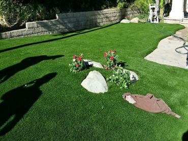Artificial Grass Photos: Synthetic Turf Pine Bush New York Lawn  Commercial Landscape