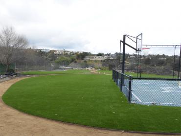 Artificial Grass Photos: Synthetic Turf Sports Lawrence New York