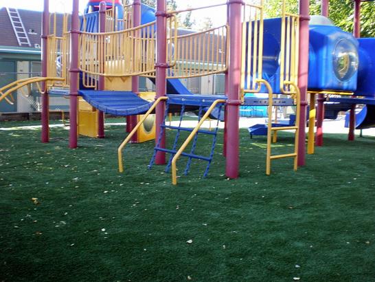 Artificial Grass Photos: Synthetic Turf Thiells New York Playgrounds  Back Yard
