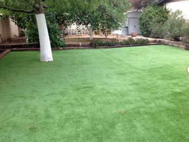 Artificial Grass Photos: Synthetic Turf Wappingers Falls New York  Landscape