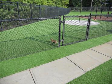 Artificial Grass Photos: Synthetic Turf West Hills New York Playgrounds  Front Yard