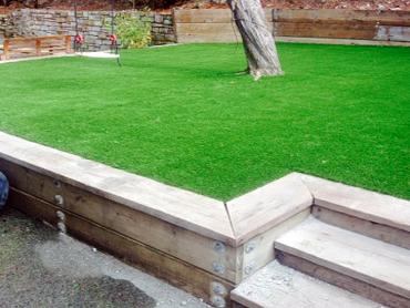 Artificial Grass Photos: Synthetic Turf Yaphank New York  Landscape  Front Yard