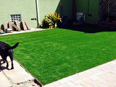 Artificial Grass Photos: Synthetic Veterinary Clinic Montgomery New York Installation