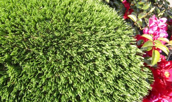 Hollow Blade-73 syntheticgrass Artificial Grass New York NY