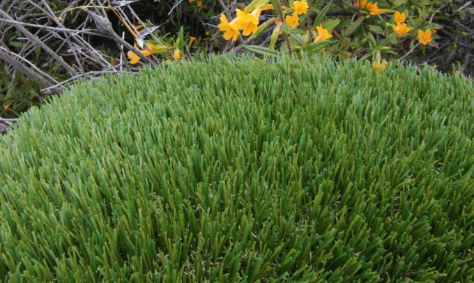 V Blade-64 syntheticgrass Artificial Grass New York NY