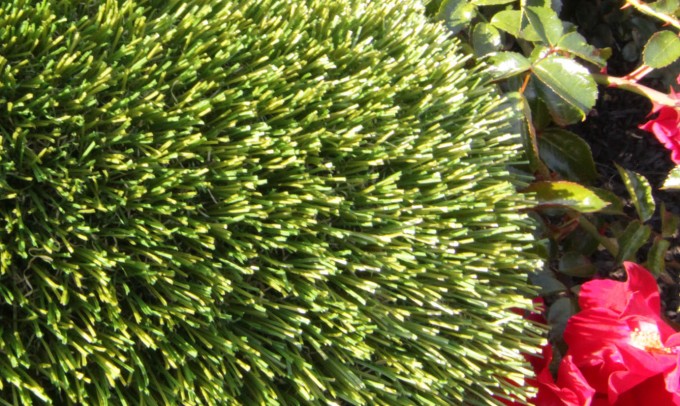V Blade-64 syntheticgrass Artificial Grass New York NY