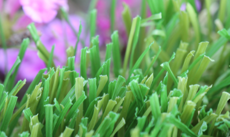 Realistic Plastic Grass