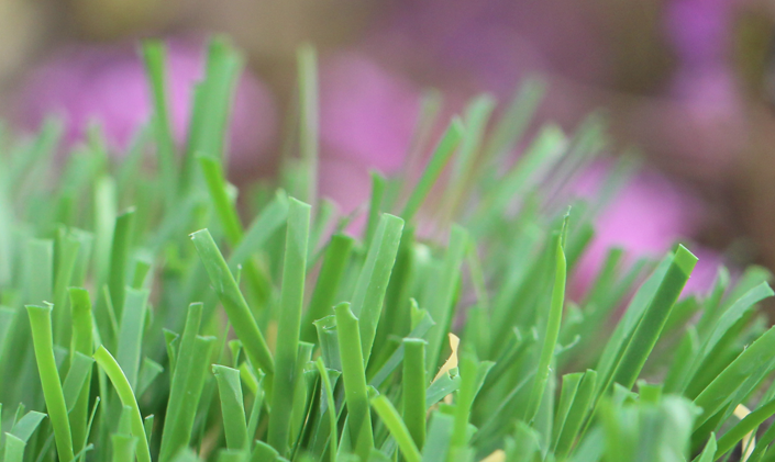 Artificial Grass Outdoor Synthetic Grass