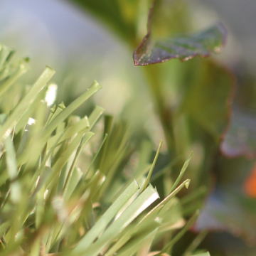 All Natural-75 All Natural-75