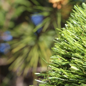 Sierra Pro-70 Sierra Pro-70