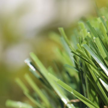 Sierra Pro-70 Sierra Pro-70