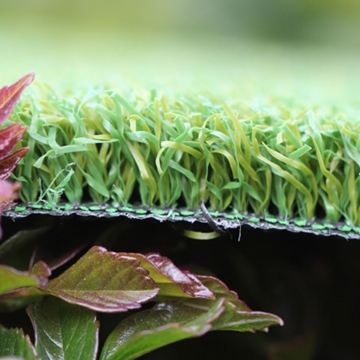 Putt-46 BiColor Putt-46 BiColor