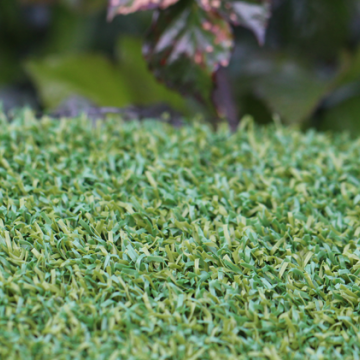 Putt-46 BiColor Putt-46 BiColor