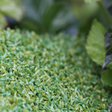 Putt-46 BiColor Putt-46 BiColor