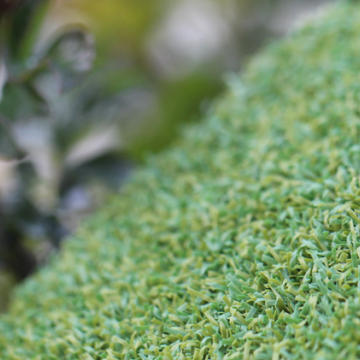 Putt-46 BiColor Putt-46 BiColor