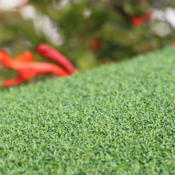 Putt-60 Bicolor Putt-60 Bicolor