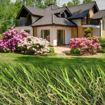 Cool Blue Hollow Lime artificial grass for synthetic lawns, landscape, front yard, garden Cool Blue Hollow Lime artificial grass for synthetic lawns, landscape, front yard, garden