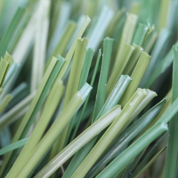 Artificial turf grass S Blade 50 for landscapes, lawns, sports, pets