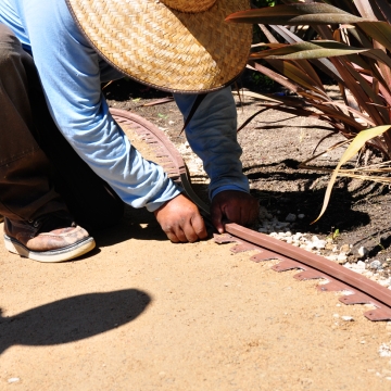 Wonder Edge Wonder Edge